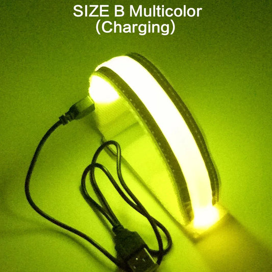 LED Illuminated Safety Armband