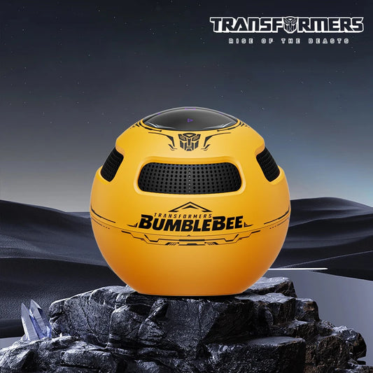 Tragbarer Langstrecken -Bluetooth -Lautsprecher