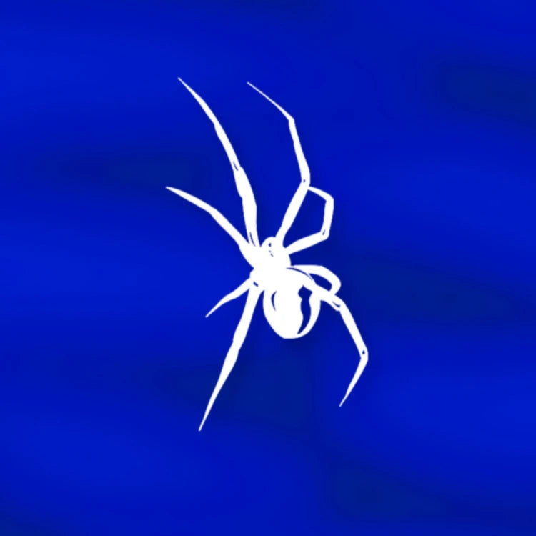 Autocollante réflexive agressive "Black Widow"