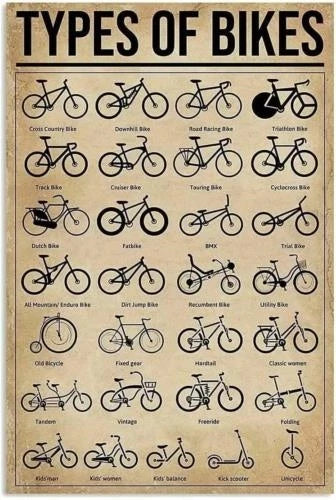 Tipos De Bicicletas Tienda Decoración De Garaje 