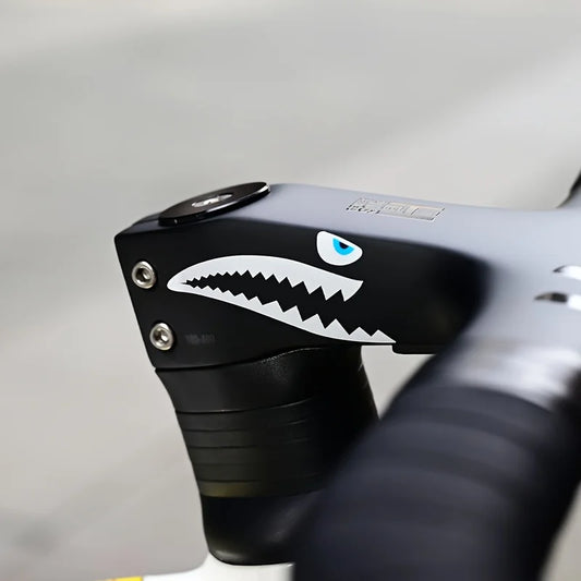 2PCS/SET Decorative Bicycle Crank Sticker 