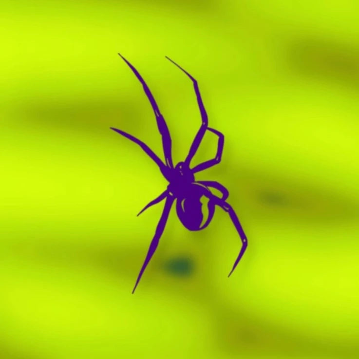 Autocollante réflexive agressive "Black Widow"